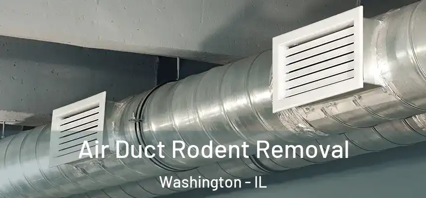  Air Duct Rodent Removal Washington - IL