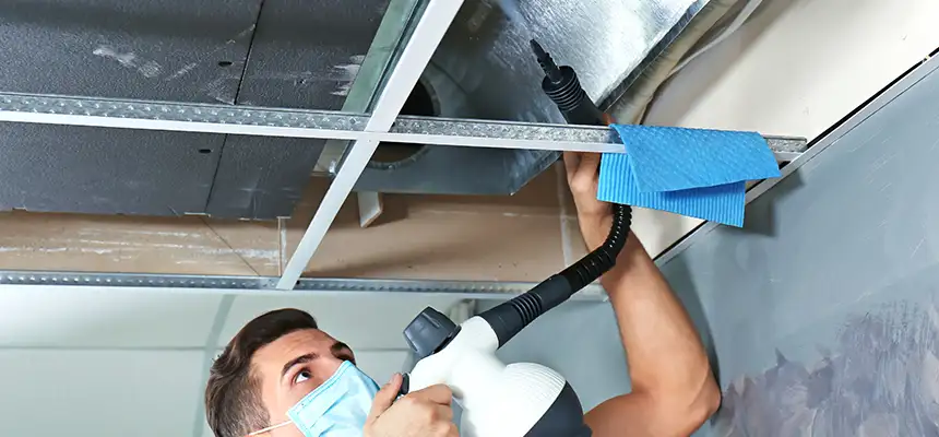 Our Air Duct Rodent Removal Services in Washington, IL