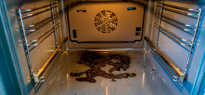 Our Dryer Vent Mold Cleaning Services in Washington, IL