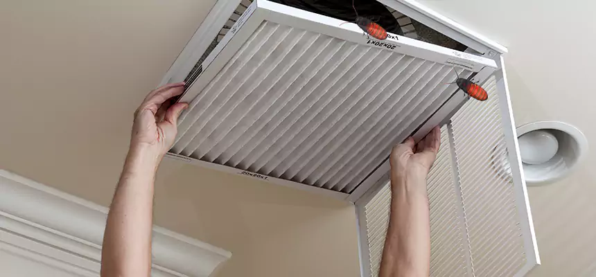 Our Insect Removal from Air Ducts Services in Washington, IL