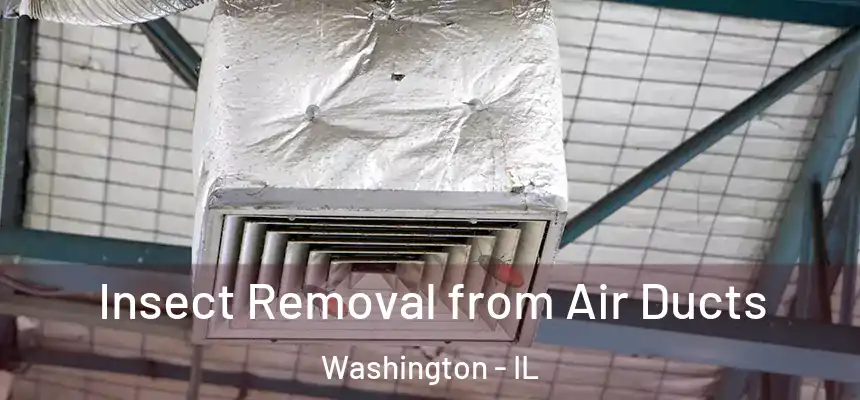 Insect Removal from Air Ducts Washington - IL