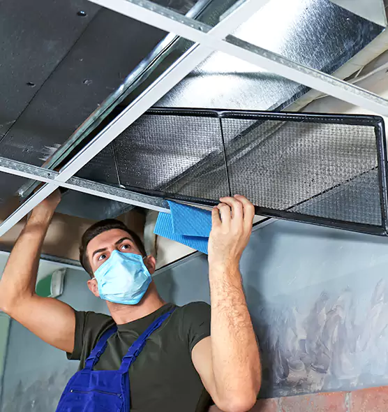 Professional Home Ventilation Cleaning in Washington, IL
