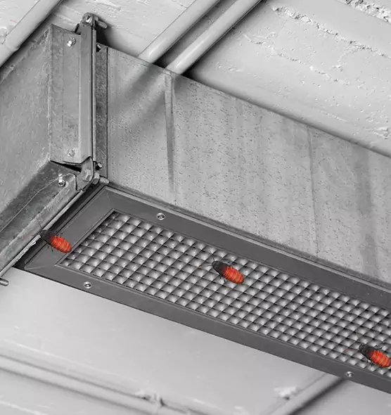 Affordable Insect Removal from Air Ducts in Washington, IL