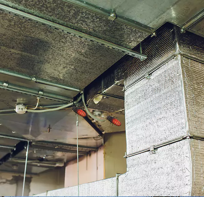 Why Homeowners & Businesses Trust Us Washington, IL?